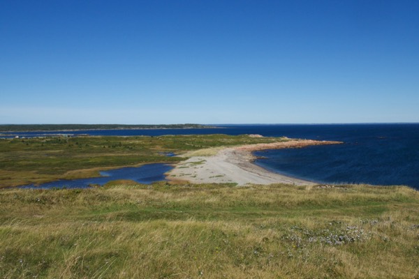 Stacks Image 568